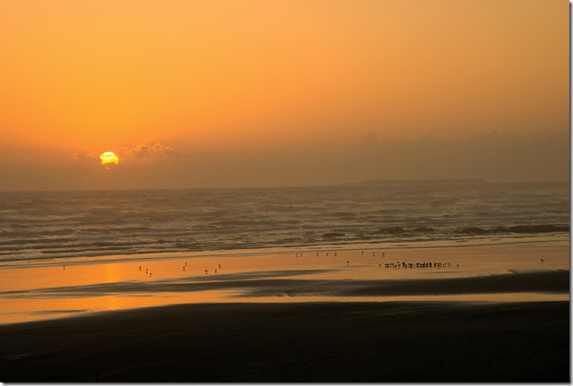 A Kalaloch 11