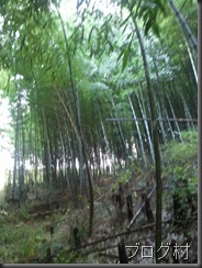 2011-11-20 07.53.03