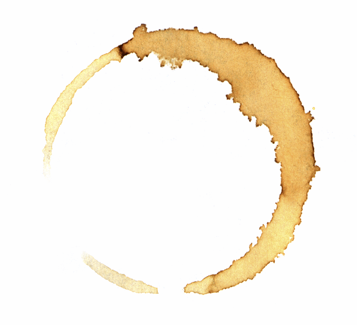 Coffee Ring Stain