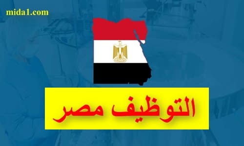 شركات التوظيف في مصر