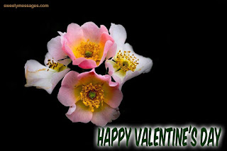 valentines day image