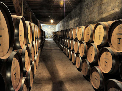 Excursion Bodega Santa Rita