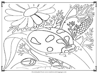 printable lady bugs adults coloring pages free