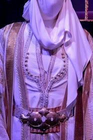 Aladdin Prince Ali costume detail