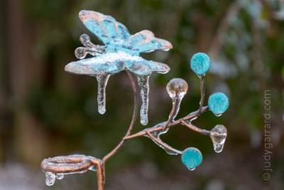 Metal Butterfly with Ice