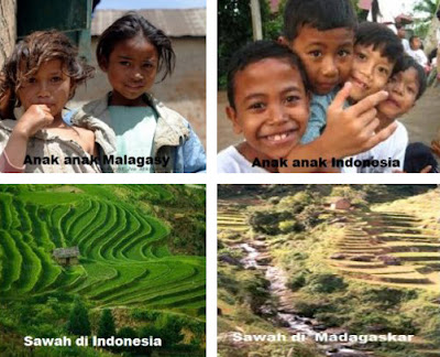 Indonesia Adalah Nenek Moyang Orang Madagaskar