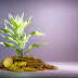 Top Money Management Techniques for Sustainable Financial Growth and Security