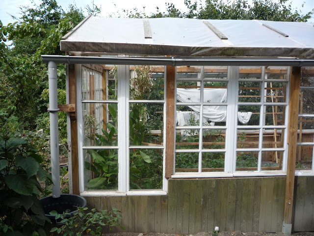 wood frame greenhouse plans