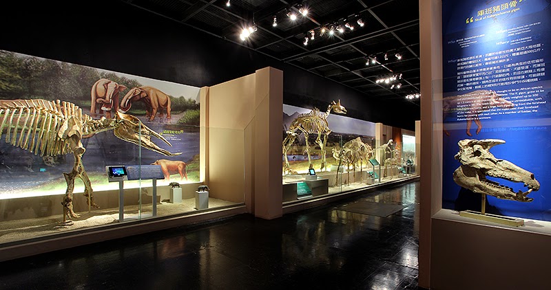 從龍到獸-大滅絕與大演化特展,展覽,麗荃室內裝修