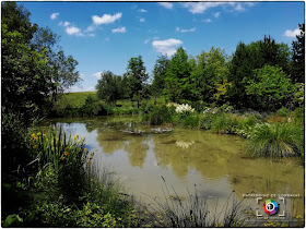 GELAUCOURT (54) - Jardin d'eau de l'Aubepré