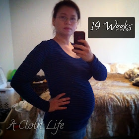 A Cloth Life: belly update 19 weeks