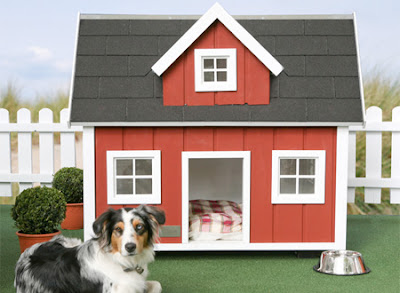 Amazing houses for dogs