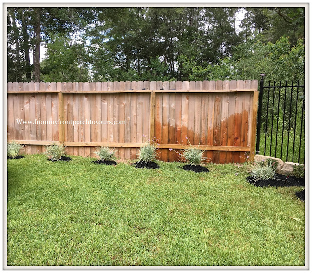 Backyard Landscape- Snake Deterant-Society Garlic-From My Front Porch To Yours