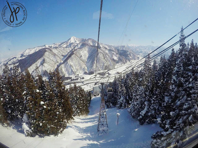 snowy mountains and pine trees