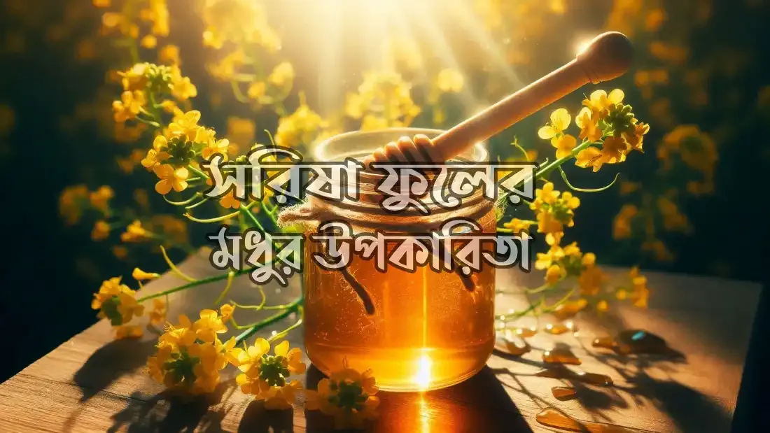 মধু-ও-কালোজিরা-খাওয়ার-নিয়ম-ও-উপকারিতা