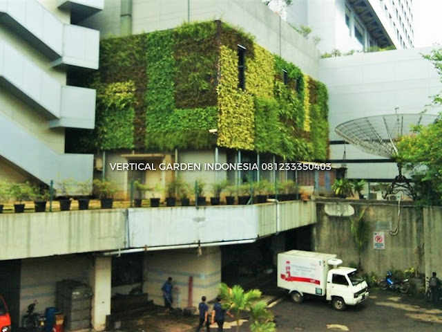 VERTICAL GARDEN INDONESIA SPESIALIS JASA PEMBUATAN VERTICAL GARDEN DI CIBUBUR DAN DI SELURUH WILAYAH CIBUBUR  DENGAN TENAGA YANG PROFESIONAL DAN DAPAT DI PERCAYA YANG SELALU MENGUTAMAKAN SEBUAH MUTU DAN KUALITAS PEMASANGAN VERTICAL GARDEN/TAMAN DINDING, JASA TUKANG TAMAN VERTICAL CIBUBUR , JASA VERTICAL GARDEN CIBUBUR 