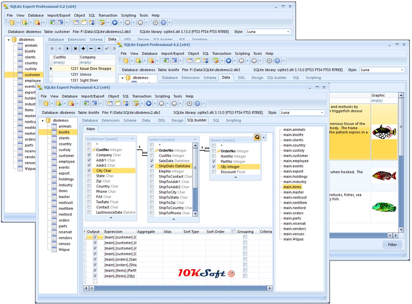 Offline Setup of SQLite Expert Professional Edition 