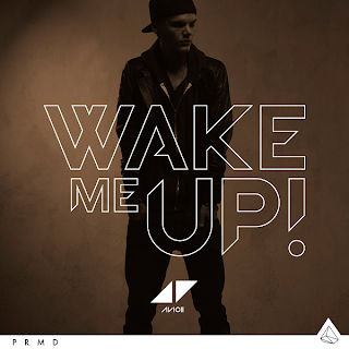 Avicii - Wake Me Up Lyrics