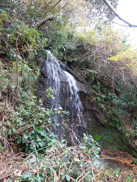 伯耆町の小野集落の農道からの眺望