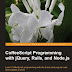 CoffeeScript Programming with jQuery, Rails, and Node.js pdf download 