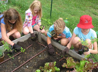 Why Home Gardening For Your Family Is A Healthy Choice