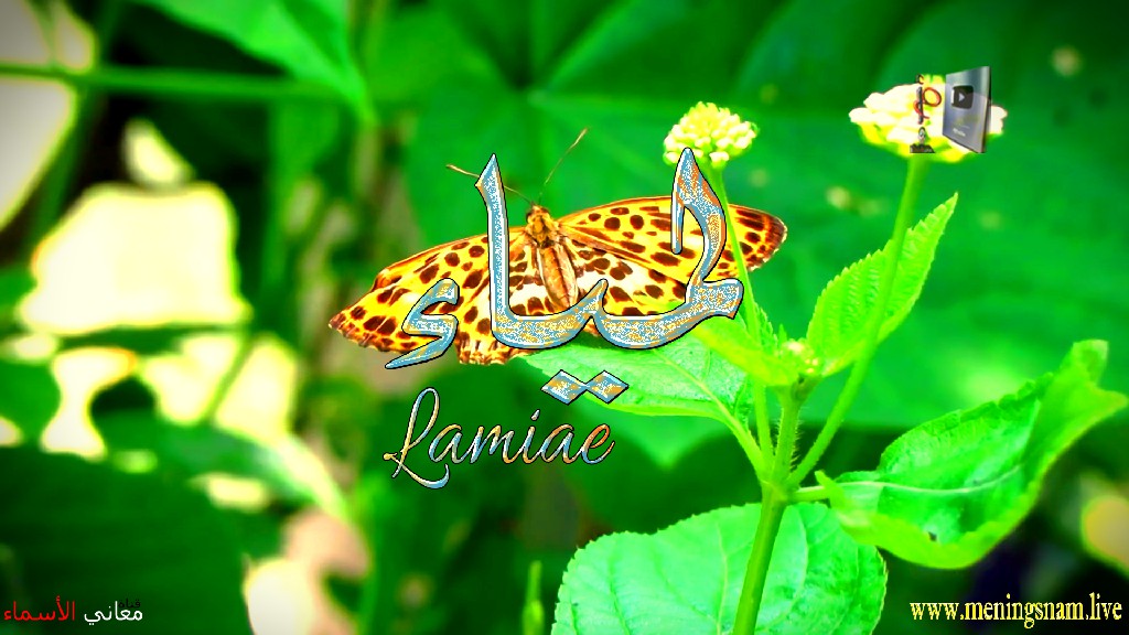 معنى اسم, لمياء, وصفات, حاملة, هذا الاسم, Lamiae,