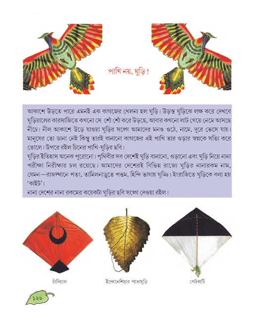 আকাশের দুই বন্ধু | শৈলেন ঘোষ | পঞ্চম শ্রেণীর বাংলা | WB Class 5 Bengali