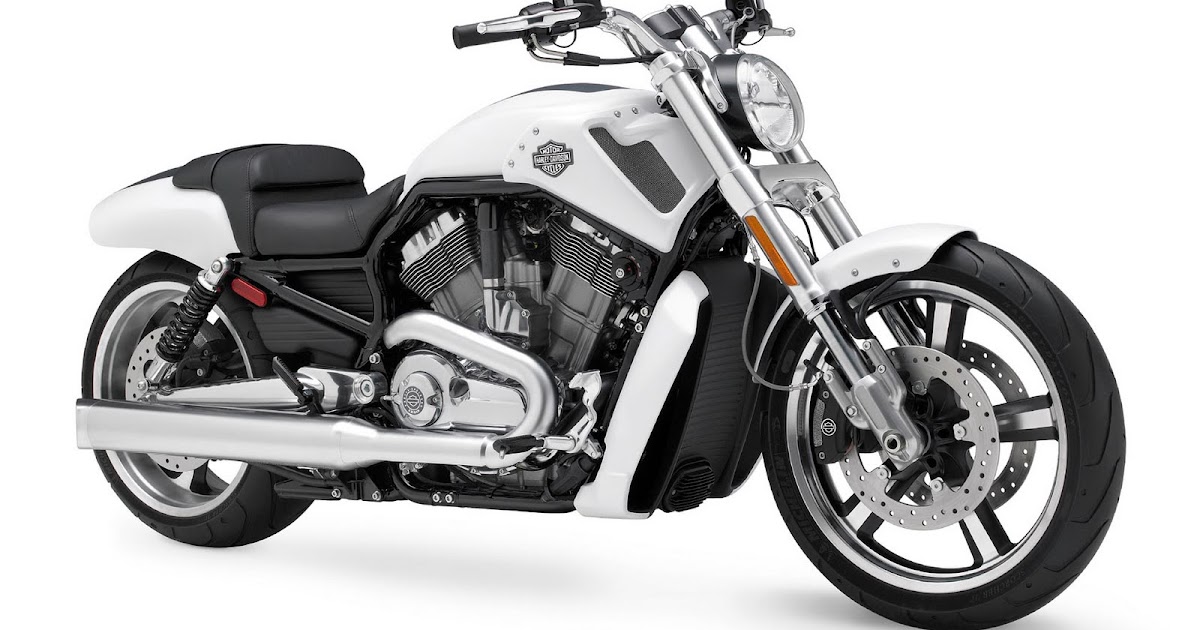 Macho Harley  Davidson  VRSCF V  Rod  Muscle Info Artikel 