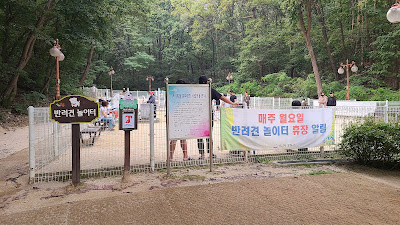 경기도 성남에서 피크닉 하기 좋은 율동공원 주차방법, 시설 소개-율동공원 반려견 놀이터