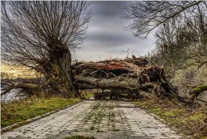https://apprendre-lalangue.blogspot.com/2023/09/surmonter-le-blocage-de-parler-francais.html?m=1