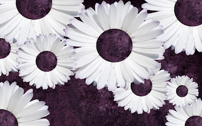 Purple Daisy Tumblr Backgrounds (3).jpg