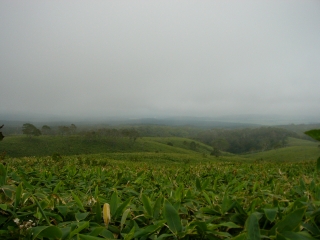P1040825