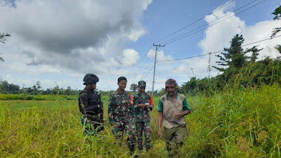 Kodim 1715/Yahukimo Bantu Petani Lakukan Pengolahan Lahan Sawah 