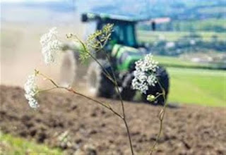 ΚΑΘΥΣΤΕΡΗΜΕΝΑ Η ΜΕΤΑΒΙΒΑΣΗ ΔΙΚΑΙΩΜΑΤΩΝ