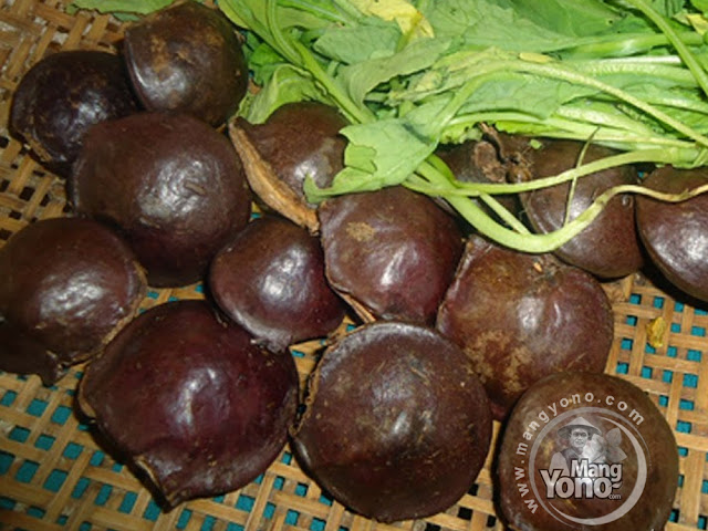 Cara Menghilangkan Bau Jengkol.