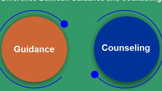 Individual differences, Guidance and Counselling in Educational psychology