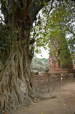 Visitar Ayutthaya, Como chegar a Ayutthaya, O que visitar em Ayutthaya, O que visitar em Bangkok, Roteiro Bangkok, O que visitar na Tailândia