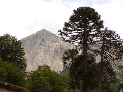 Rutas turísticas del Neuquén fueron eje de reunión en Aluminé