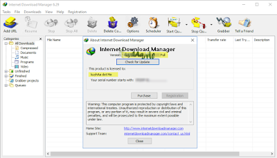 Internet Download Manager IDM