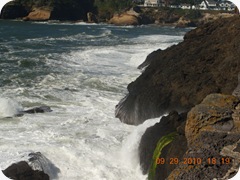 DSCN1924