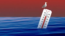 Image of a thermometer floating in the ocean with a seagull sitting on it.