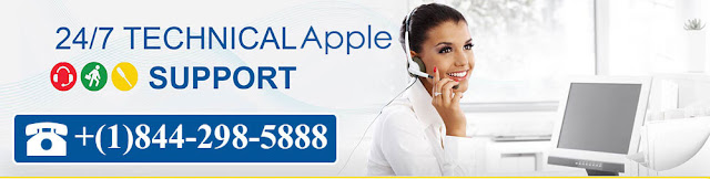 apple support for apple products