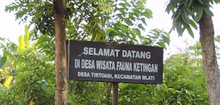 wisata-jogja