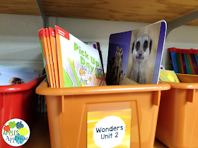 Organizing Wonders Reading Curriculum | Apples to Applique