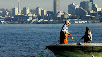 Water Quality For Fish