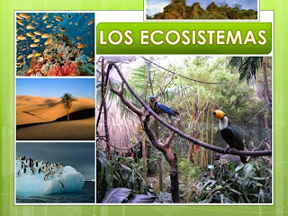 https://miclaseenlanube.wordpress.com/cnatur/los-ecosistemas/