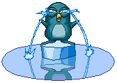 Pinguim (45)