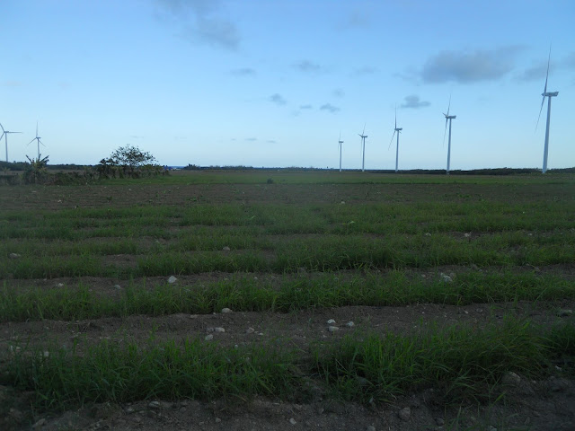 Resultado de imagen para foto terreno del proyecto agropecuario del valle de juancho