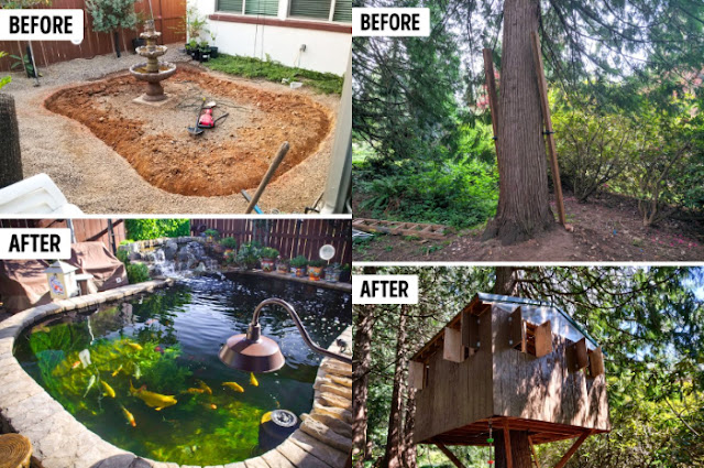 6 Photos Before and After Yard Renovations