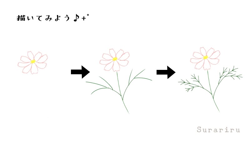 簡単なコスモスの花のイラストの描き方 遠北ほのかのイラストサイト